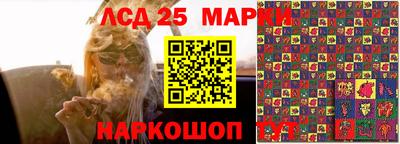 крисы Сланцы