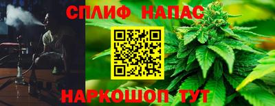 крисы Сланцы