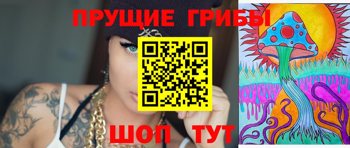 Новосибирск  Псилоцибиновые грибы мицелий  Псилоцибиновые грибы Cubensis  Вход с VPN 